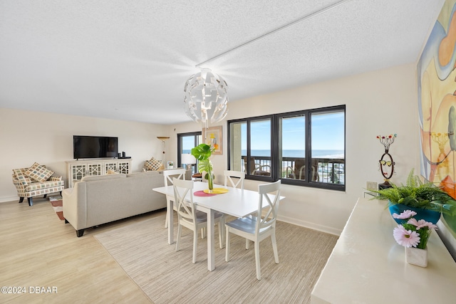 dining space with light hardwood / wood-style floors and a textured ceiling