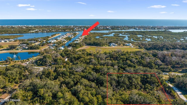 2822 John Anderson Hwy, Flagler Beach FL, 32136 land for sale