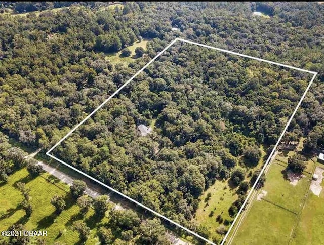 21305 86th Ave, Micanopy, FL 32667 - view of property location featuring property parcel outlined