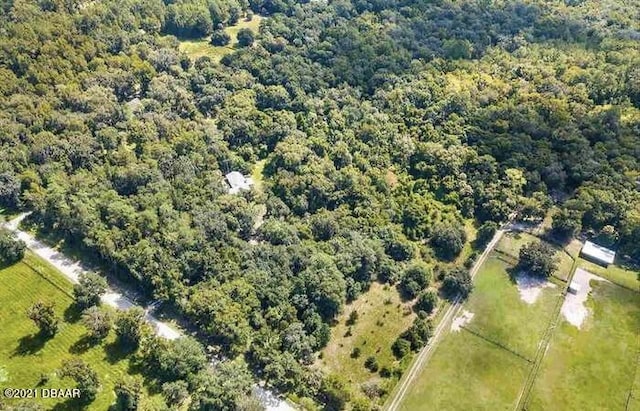 21305 86th Ave, Micanopy, FL 32667 - aerial overview of property's location with a forest
