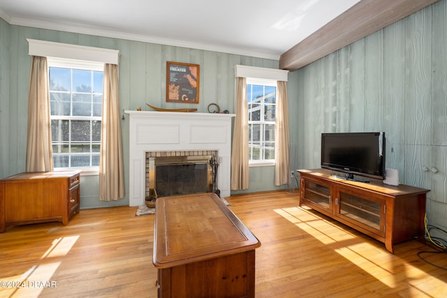 living room with a fireplace, light hardwood / wood-style floors, and crown molding