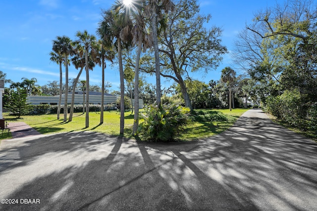 view of community featuring a yard