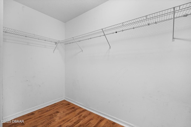 spacious closet with wood-type flooring