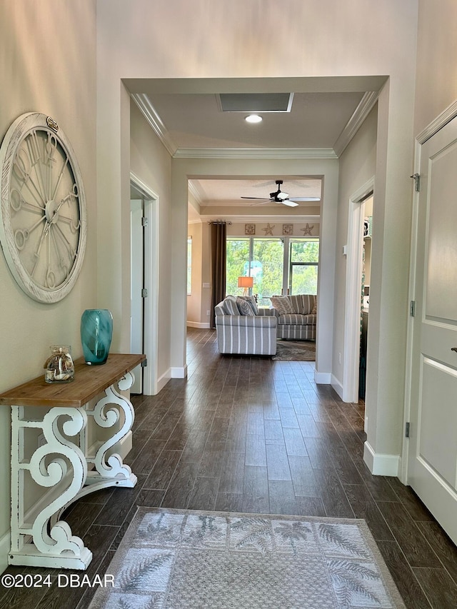 corridor with crown molding and dark wood-type flooring