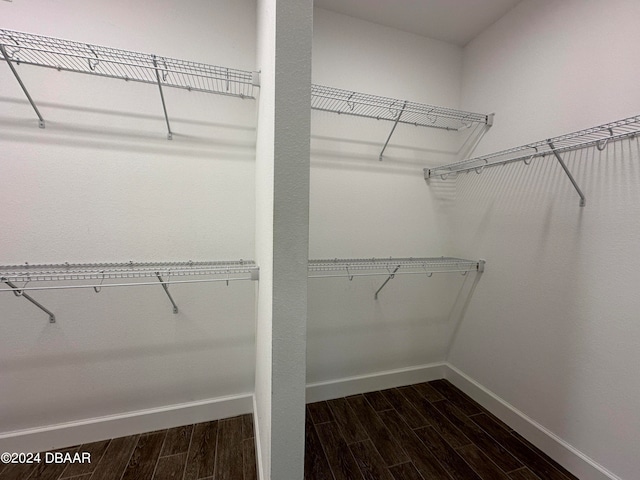 walk in closet with dark hardwood / wood-style flooring