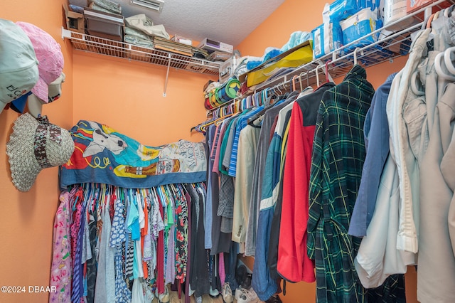 view of spacious closet