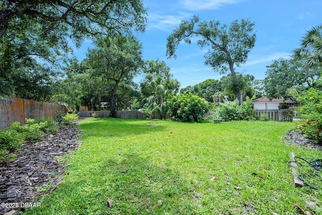 1 River Bluff Ct, Ormond Beach, FL 32174 - view of fenced backyard