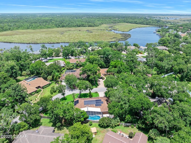 1 River Bluff Ct, Ormond Beach, FL 32174 - aerial view of property's location featuring a large body of water and a forest