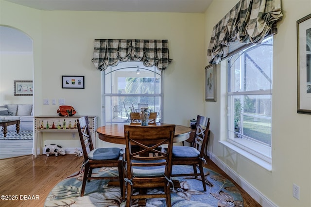 dining area featuring plenty of natural light and wood-type flooring