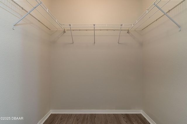 spacious closet with hardwood / wood-style flooring