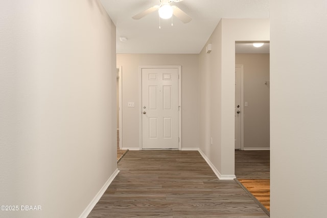 corridor featuring dark hardwood / wood-style flooring