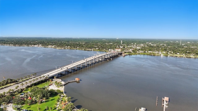 28 River Shore Dr, Ormond Beach, FL 32176