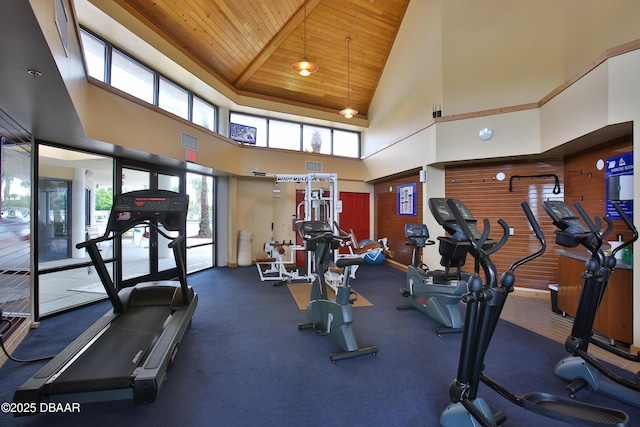 workout area featuring wood ceiling, a wealth of natural light, and vaulted ceiling