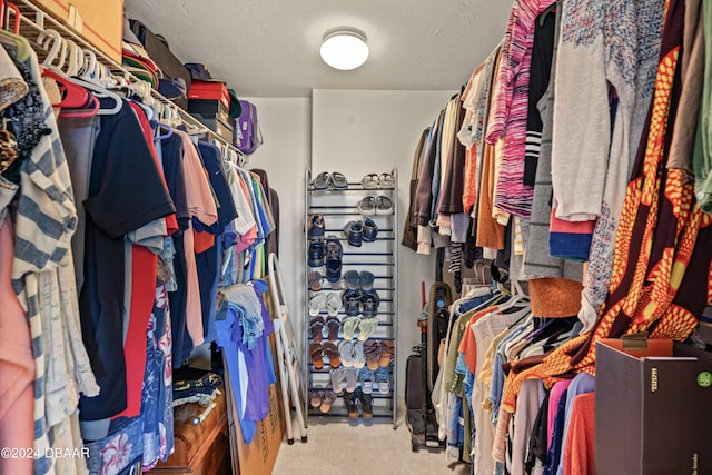 spacious closet with light carpet