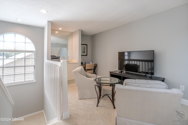 carpeted living room with a textured ceiling