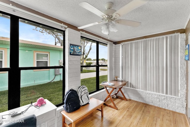 215 Woodland Ave, Daytona Beach, FL 32118 - photo 14