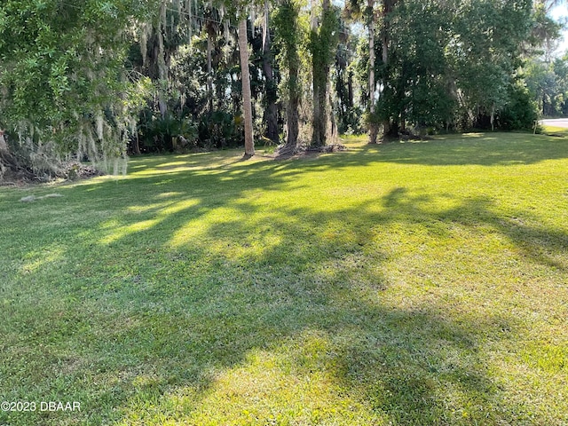 1604 Bass Ave, Seville FL, 32190 land for sale