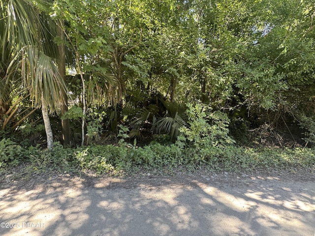2015 Griffin St, Ormond Beach FL, 32174 land for sale