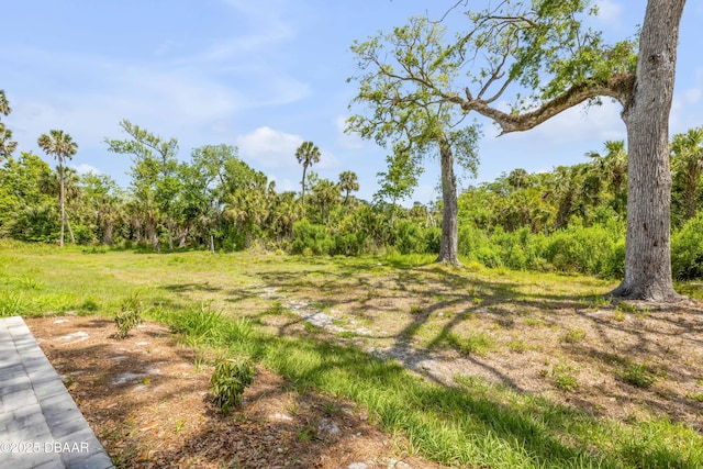 view of landscape featuring a view of trees