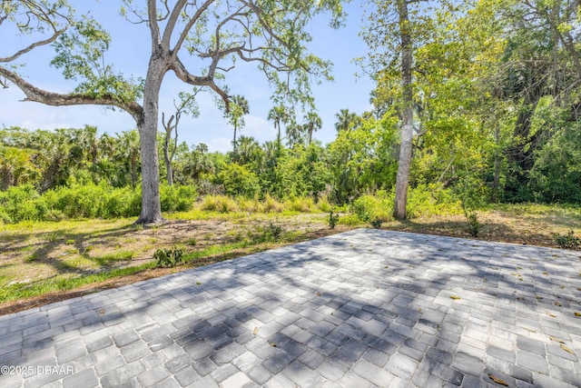 1371 Melonie Trl, New Smyrna Beach, FL 32168 - photo 22