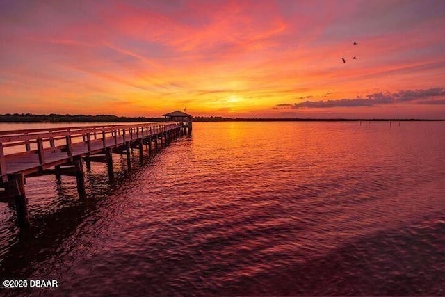 dock area with a water view