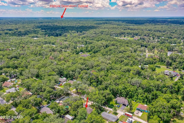1795 Trinidad St, Deland, FL 32720 - photo 28