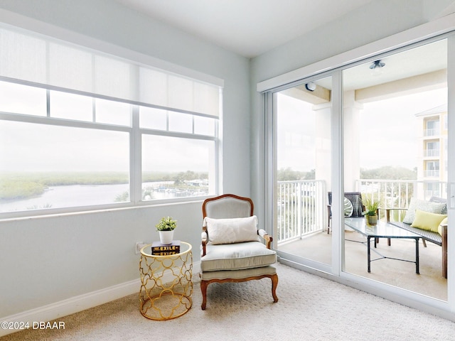 living area featuring carpet flooring