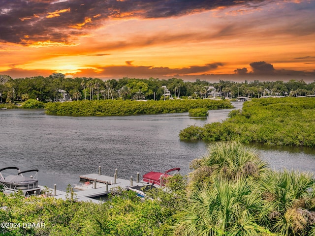 property view of water with a dock