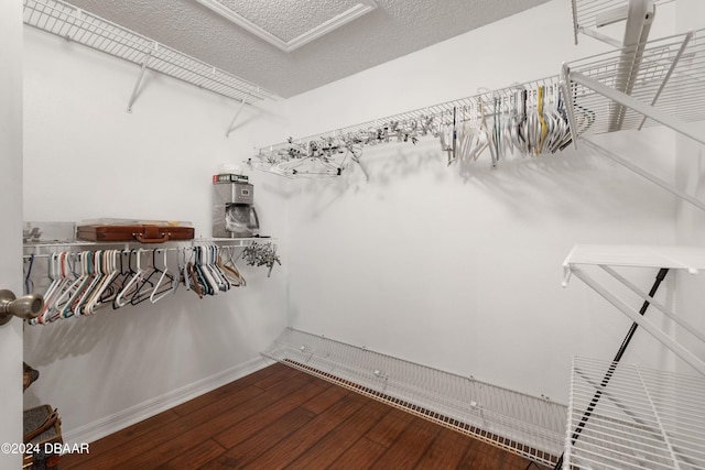 spacious closet with hardwood / wood-style floors