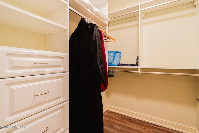 spacious closet featuring dark hardwood / wood-style flooring