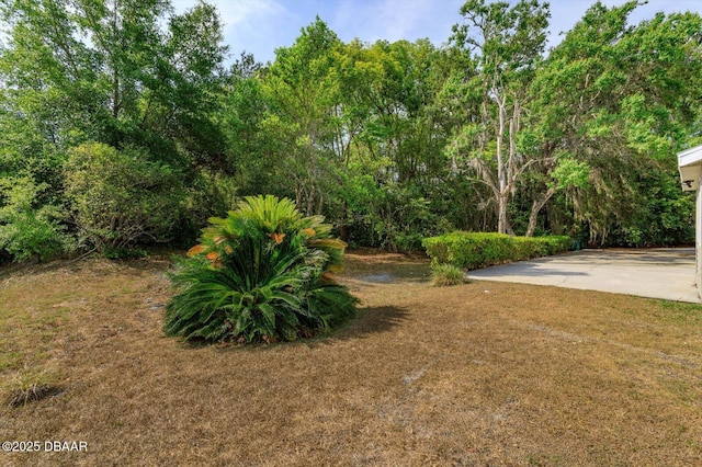 640 Old Treeline Trl, Deland, FL 32724 - view of grassy yard