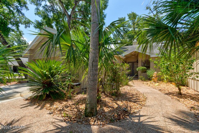 101 Silver Fern Ct, Port Orange, FL 32128 - photo 25