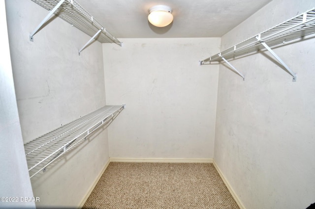 spacious closet with light colored carpet