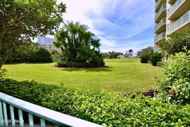 view of yard with a balcony