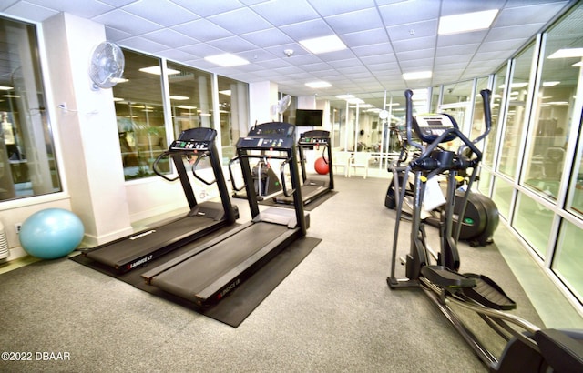 gym featuring carpet and a drop ceiling