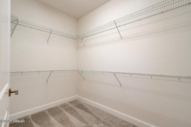 112 Chelsea Place Ave, Ormond Beach, FL 32174 - walk in closet with carpet