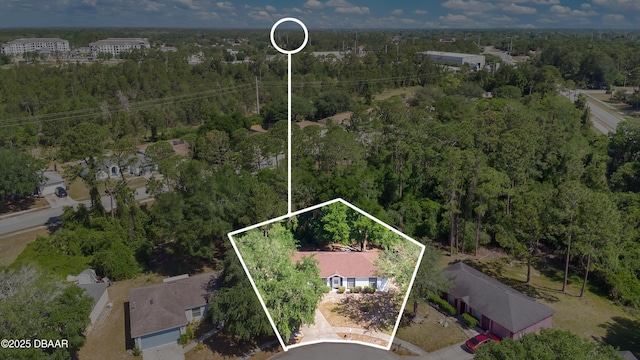 4 Starling Dr, Daytona Beach, FL 32117 - aerial view of property and surrounding area with a forest and property boundaries highlighted
