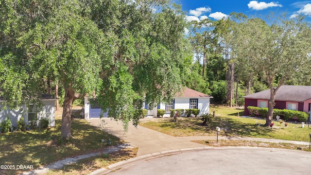 4 Starling Dr, Daytona Beach, FL 32117 - view of property hidden behind natural elements featuring a front lawn and driveway