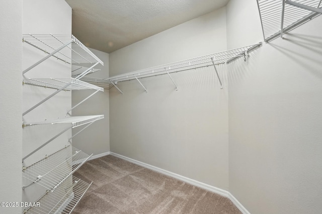 3776 Sweet Grove Ct, Port Orange, FL 32129 - spacious closet featuring carpet floors