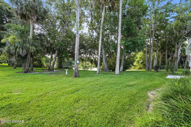 3776 Sweet Grove Ct, Port Orange, FL 32129 - view of grassy yard
