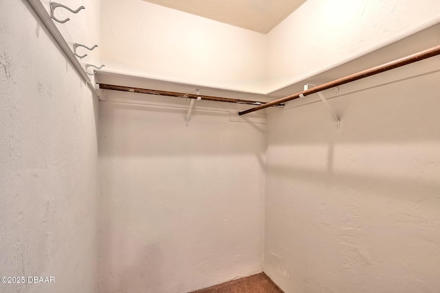 16 Red Maple Cir, Ormond Beach, FL 32174 - walk in closet with carpet floors