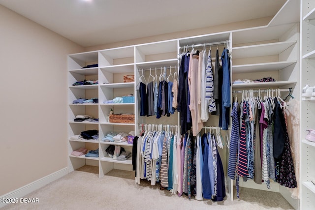 interior space featuring carpet flooring