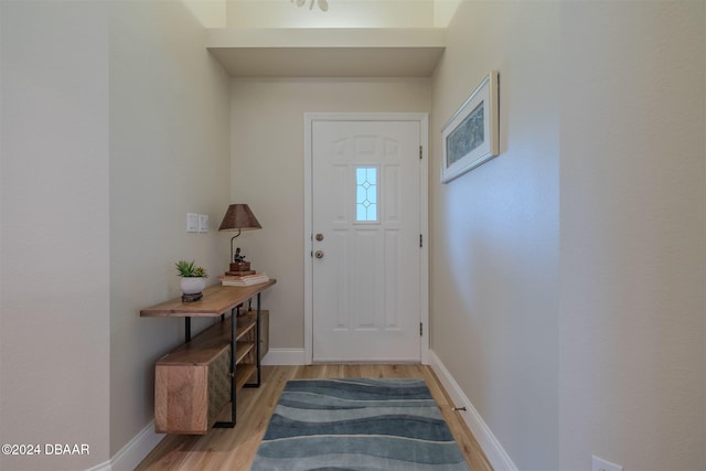 entrance foyer featuring light hardwood / wood-style floors