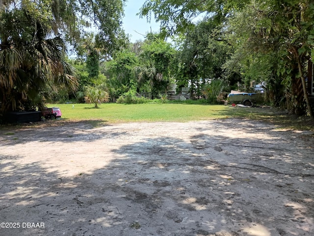 635 Tanglewood St, Daytona Beach, FL 32114 - view of grassy yard