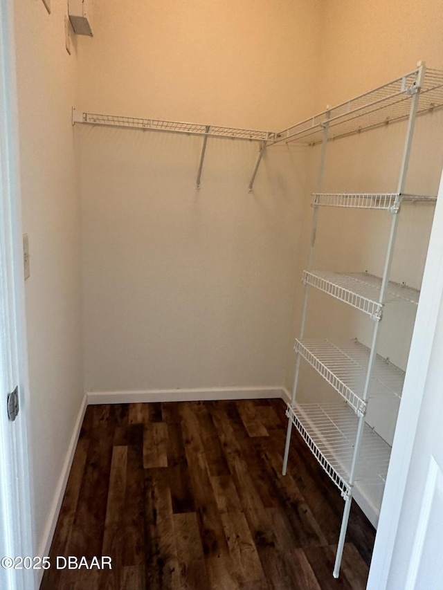 spacious closet featuring dark hardwood / wood-style flooring