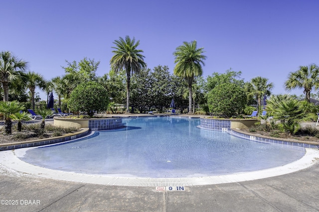 408 Chelsea Place Ave, Ormond Beach, FL 32174 - view of community pool