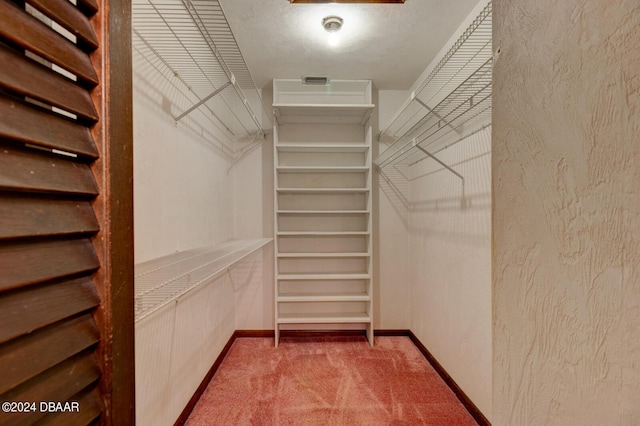 walk in closet with light carpet