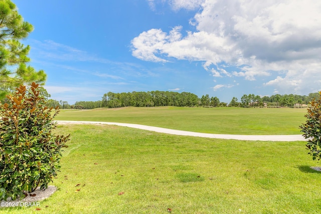 3066 Isles Way, New Smyrna Beach, FL 32168 - view of grassy yard featuring golf course view and view of scattered trees