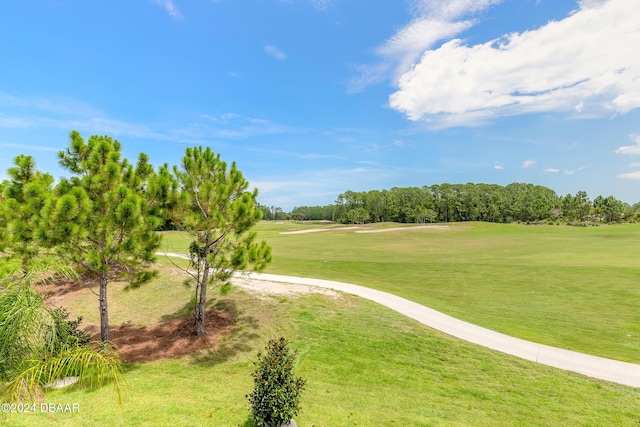 view of community featuring a lawn