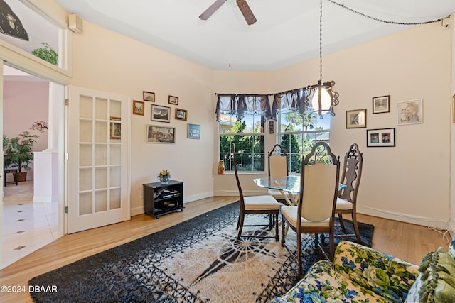 dining room with hardwood / wood-style floors and ceiling fan